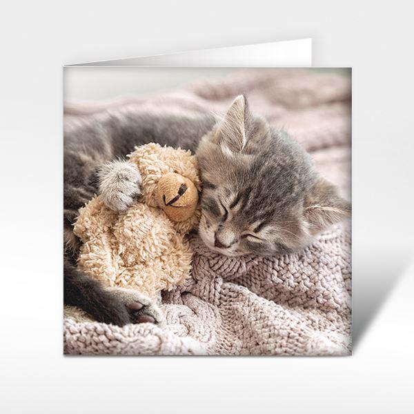Glückwunschkarte "Kuschel-Kätzchen"