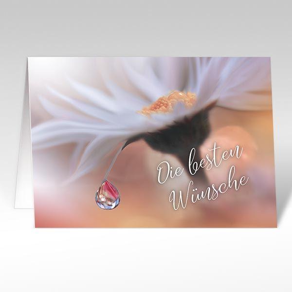 Glückwunschkarten "Margerite"